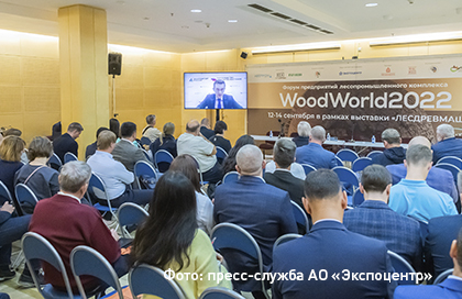 WoodWorld-2024: будущее лесопромышленности на выставке «Лесдревмаш-2024»