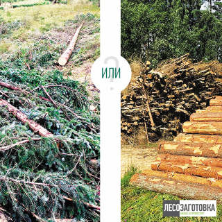 Round table 'Felling residues: problems and solutions'
